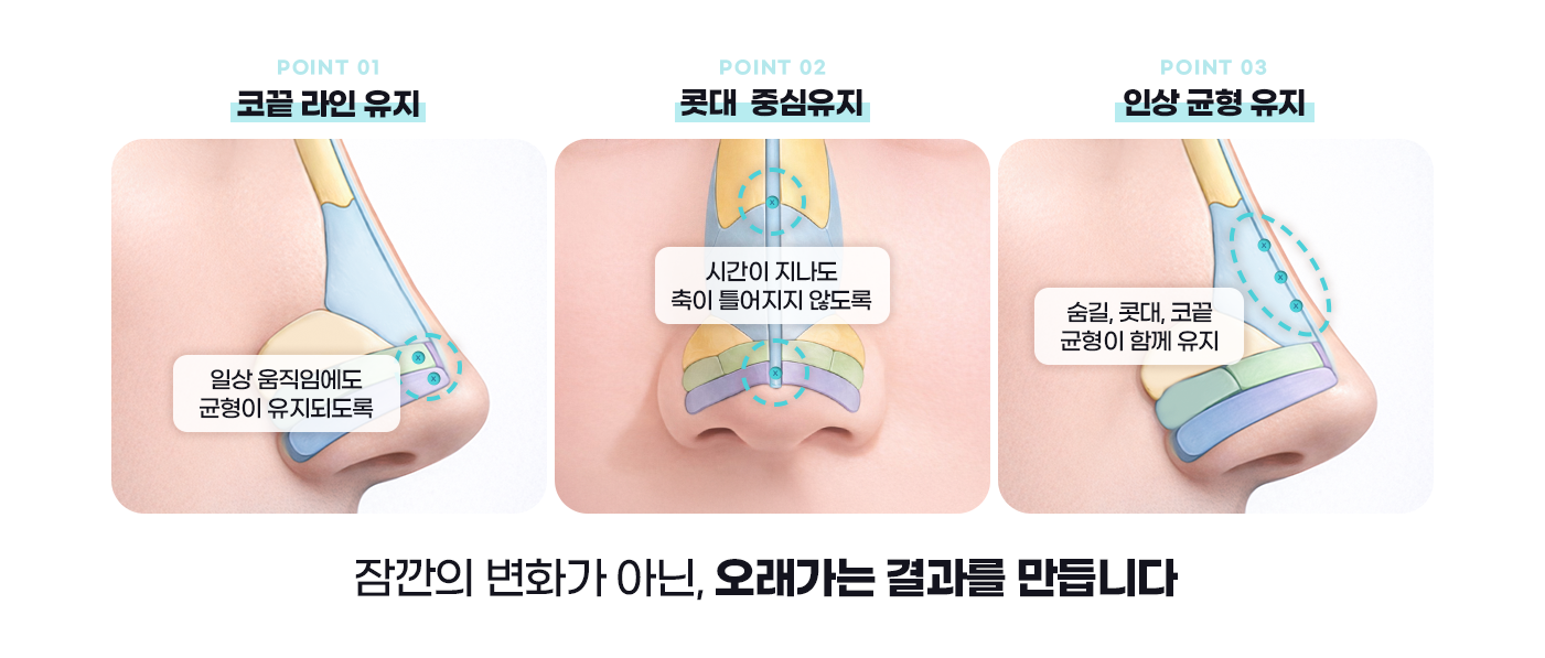 탄탄한 코 이미지