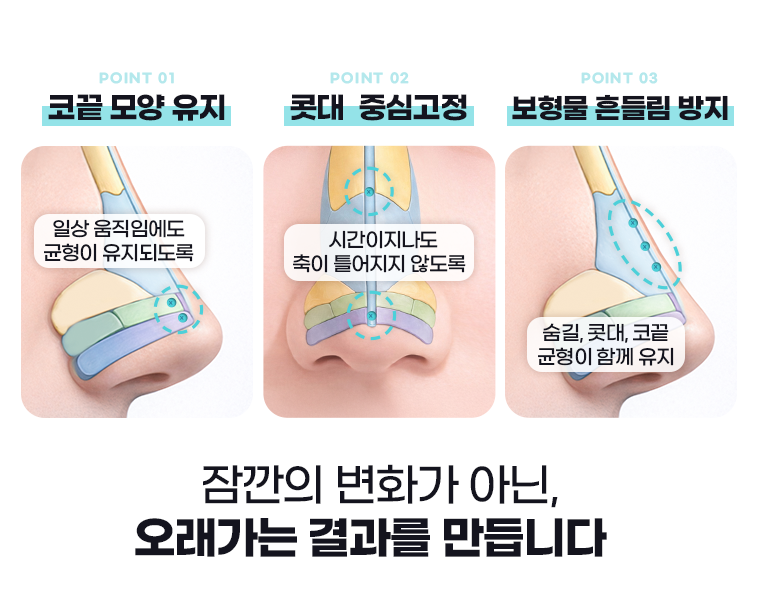 탄탄한 코 이미지