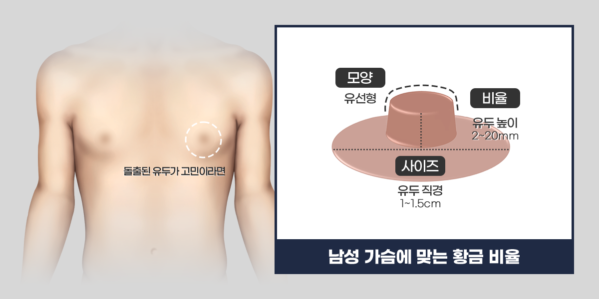 내 가슴에 맞는 유두 황금비율 상세 PC