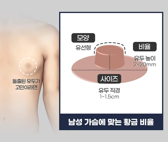 내 가슴에 맞는 유두 황금비율 상세 모바일