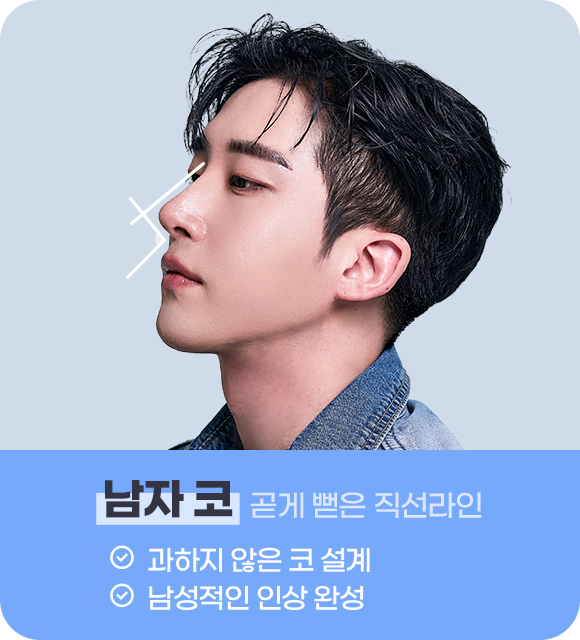 남자코 곧게 뻗은 직선라전